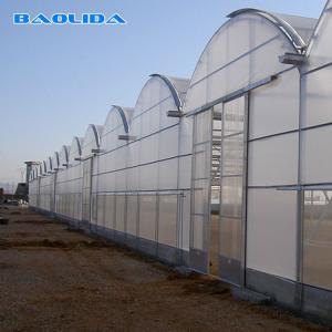 Galvanised Walk In Multispan 5.3m Tunnel House Plastic Multi Span Greenhouse