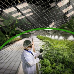 Quality Bavagreen SAA Samsung LM301H Quantum Board 660nm Ir Uv 720w for sale