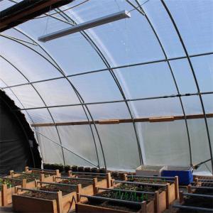 Width 30ft 35ft 40ft Light Deprivation Greenhouse System Plants Cultivation