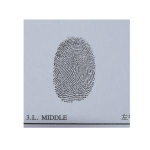 E021 Black ink for fingerprint pad