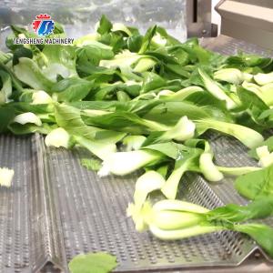 Vegetable Leaves Vegetables Leafy vegetables Cabbage varieties Herbs Fruiting