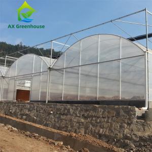 Intelligent Film Serre Invernadero Greenhouse Multispan Tomato Greenhouse