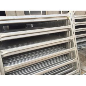 Australia standard galvanized cattle panel fence Cattle Crush,Cattle Chute