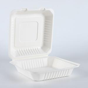 biodegradable catering sugarcane pulp molded paper food packaging