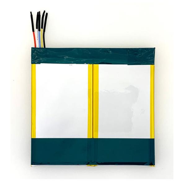 Buy Lithium Iron Phosphate Lifepo4 Battery Pack 6.4V 2700mAh at wholesale prices