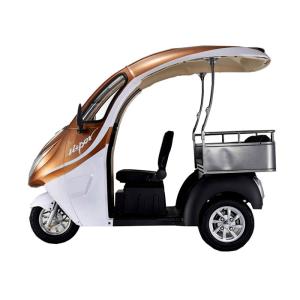 Brushless 800W 1200W Electric Tricycle Car