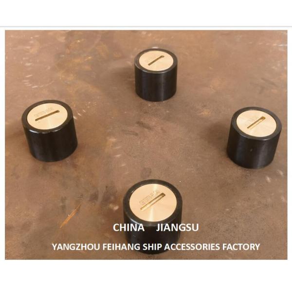 SOUNDING PIPE HEAD TYPE C65 CB/T3778-99 SOUNDING INJECTION HEAD