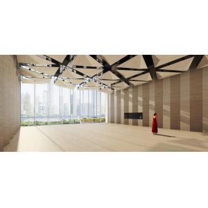 3D Triangle 2/2/0.5mm Ceiling Tiles NANO Microperforated Sound Absorption