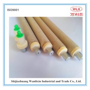 Professional Disposable Fast Thermocouple For Molten Steel Temperature