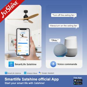 Control Method Wall Control 52 Inch Solid Wood Ceiling Fan for Home Hotel and