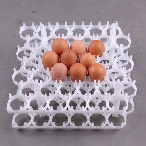 36 30 Eggs Farm Layer Plastic Egg Tray