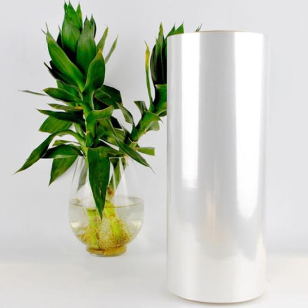 Buy Polylactic Acid Sheet Biodegradable Clear PLA Sheet Roll at wholesale prices