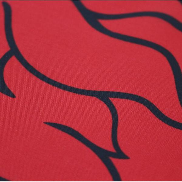 W5'' Scotland Copper Grommet Royal Standard Flag