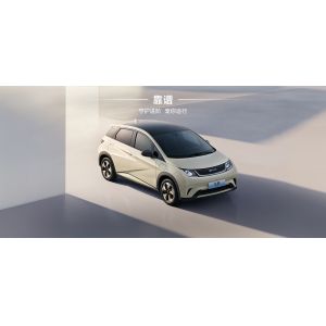 Quality BYD 2025 Dolphin 520km Knight Edition EV for sale