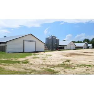 Steel Frame Poultry Shed for 10000 Chickens - Q235/Q355 H Section Structure