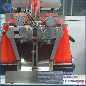 304/316L Soft Capsule Making Machine