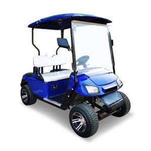 Quality 3KW 48V Electric 2 Seater Golf Cart Buggy Car Customizable for sale