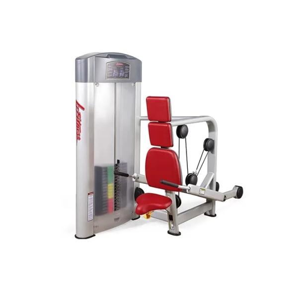 Buy Sliver Frame HS Gym Equipment , Bodybuilding Tricep Press Machine at wholesale prices