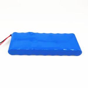 ROSH 96Wh 8000mAh 12V 18650 Battery Pack