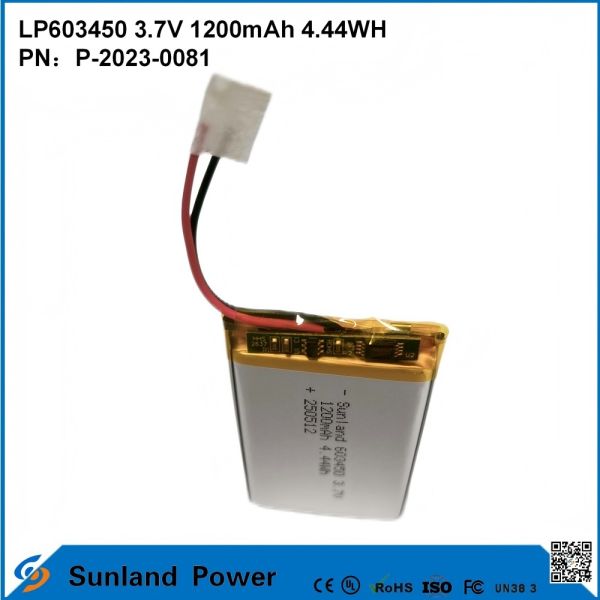 GP603450 1200mAh 3.7V BATTERY