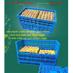 PE/PP Mesh Style Collapsible Egg Crate Moving Tote Box for Eggs Storage and
