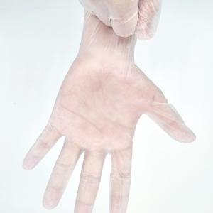 Disposable Vinyl Gloves