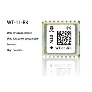 Dual-Frequency RTK Algorithm GPS Module for High Accuracy Surveying and Mapping