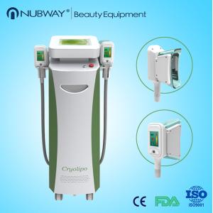 China Vertical Cryolipolysis Machine Cellulite Fat Removal Slimming With 2 Handles on sale
