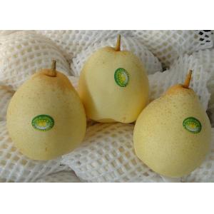 Sweet Juicy Fresh Chinese Ya Pears Fruit Delicious Crown Pear
