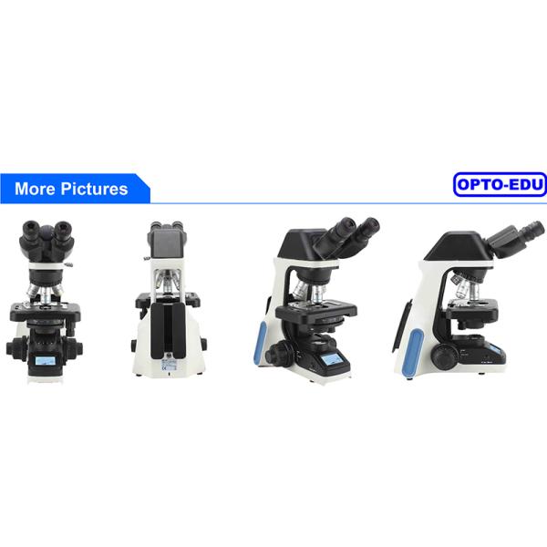 A12.1030-B Laboratory Binocular Compound Light Microscope 100x