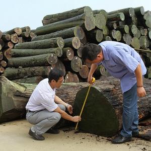 Africa Natural Makore Wood Veneer Cherry Mahogany For Hotel Decoration And