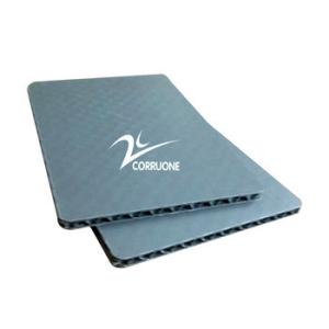 China Textured PP Honeycomb Panel Sandwich Polypropylene Honeycomb Panels on sale