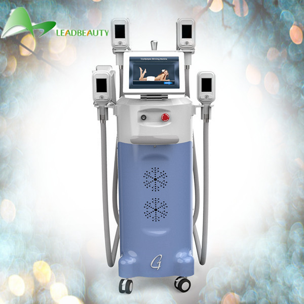 Buy Professional Cryolipolysis Slimming Fat Loss Machines For Women Cellulite Reduction at wholesale prices