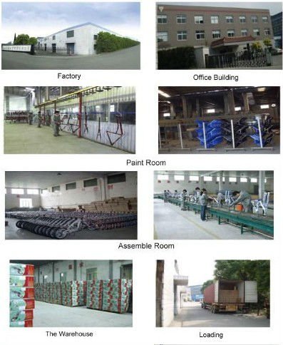 CE and ISO 9001 Accredited Steel Fork Beach Cruiser Bike with Gloss Weight of 19kg