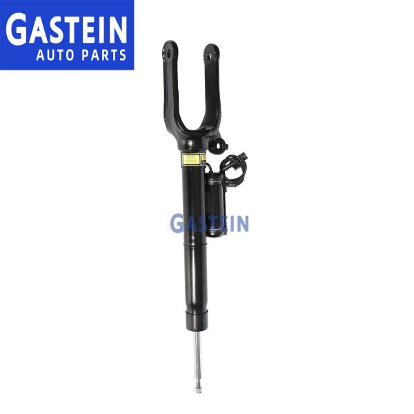 Buy 2513200730 2513200330 Mercedes W251 Front Hydraulic Shock at wholesale prices