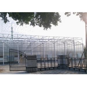 9.6m Tunnel Width Polycarbonate Greenhouse for Sustainable Agricultural