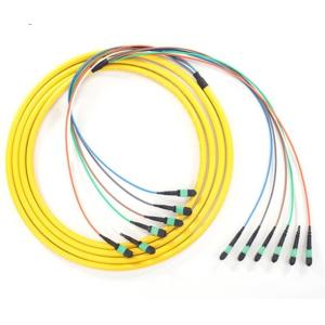 MPO MTP Trunk Optical Patch Cord 8 12 24 Fibers OM3 3M For Data Center Fiber