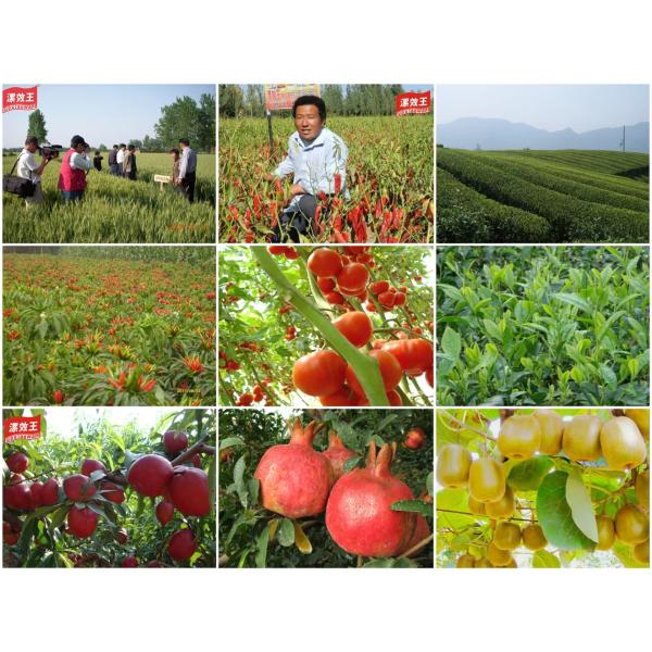 Soil Conditioner Biological Organic Fertilizer Chelated Humic Acid