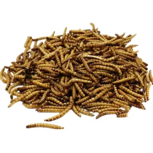 Quality Factory Supply Dried Black Soldier Fly Larvae With High Quality And Cheap Price for sale