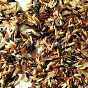 High Output CCD Rice Sorting Machine 8 Chute Intelligent Operation Interface