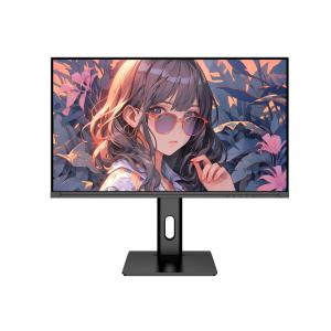 1080P 25 Inch Office Computer Monitor 360Hz HDR 1ms IPS FreeSync ELMB Sync