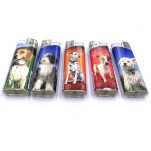 Plastic Transparent Disposable Cigarette Lighter Refillable Gas Encendedor