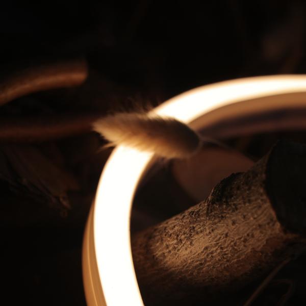 Buy Horizontal Bending 3000K Flexible Neon Strip Lumileds 2 Step MacAdam LED CRI90 at wholesale prices