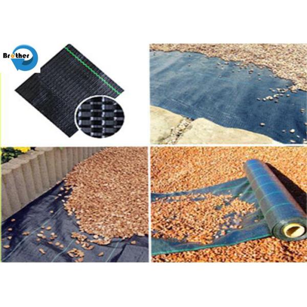Anti Grass PP Weed Mat Weed Control Mat /Ground Cover/Landscape Fabric