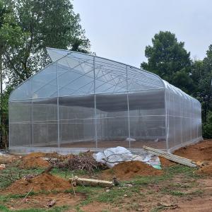 Urban Farming Sawtooth Agricultural Greenhouse Plastic Agri Greenhouse Single
