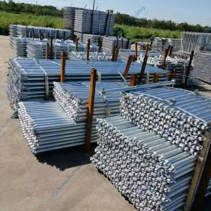 Painted Q355 48.3mm 2m EN12811 Certified Scaffold Tower Ringlock System with OEM