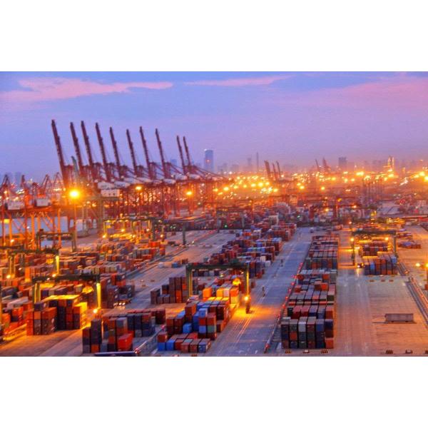 Buy Door To Door Service And Tracking Available For International Express Courier at wholesale prices