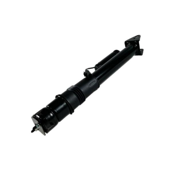 Buy ISO W251 Mercedes Benz Air Suspension Rear Strut Replacement 2513201931 at wholesale prices