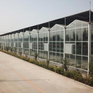 Advanced Hydroponic System for Growing Vegetables in Agricultural Greenhouses