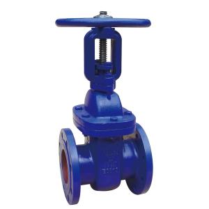 Rust Proof Cast Iron Gate Valve Anti Leak Convenient Maintenance